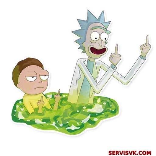 Rick Morty And Fans